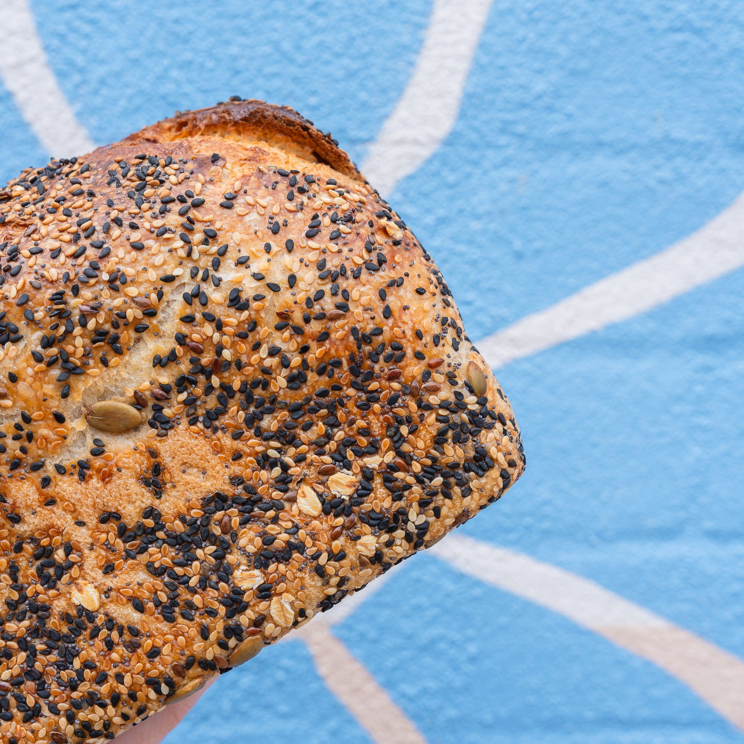 Seeded White Sourdough (Christmas Day)