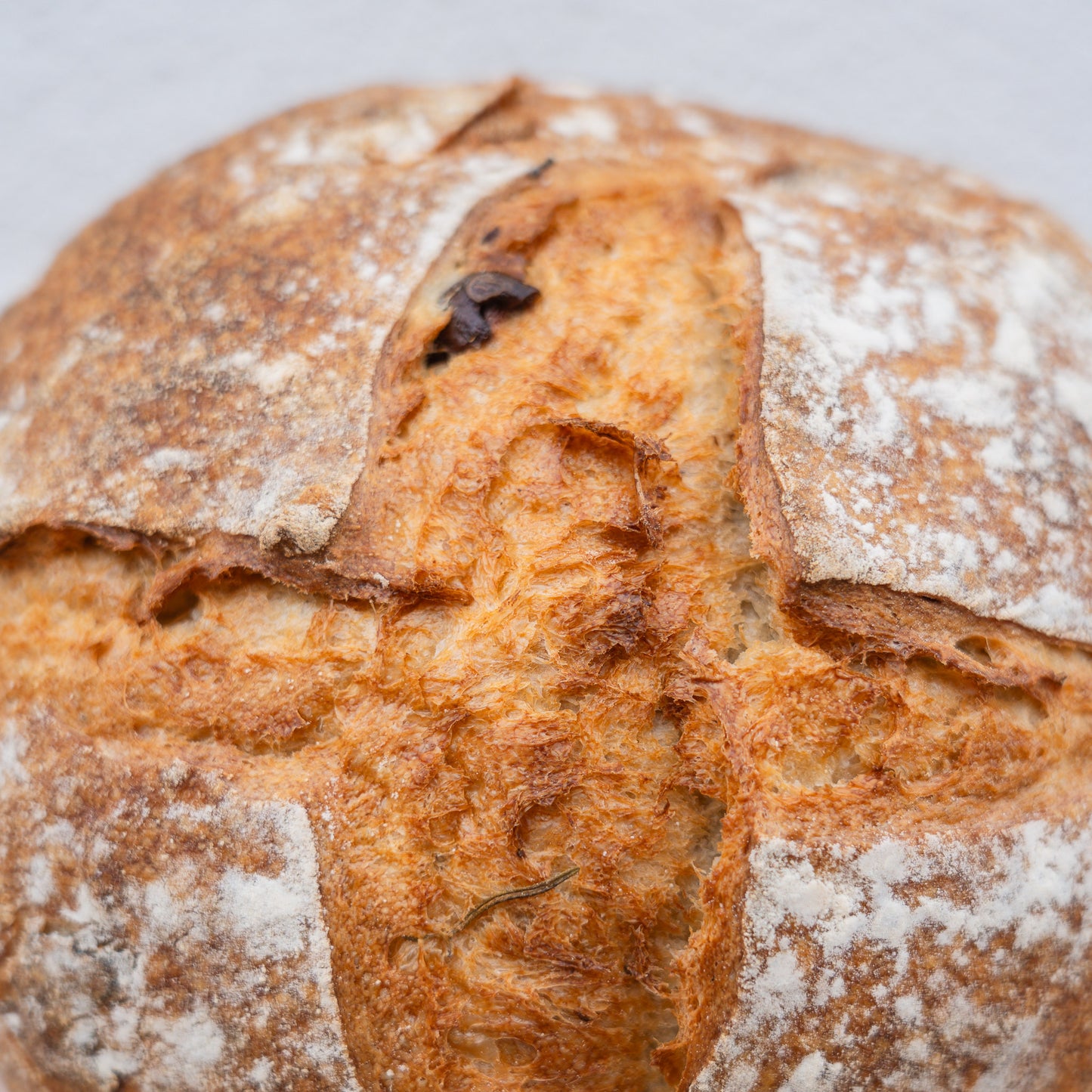 Olive & Rosemary Sourdough (Christmas Eve)