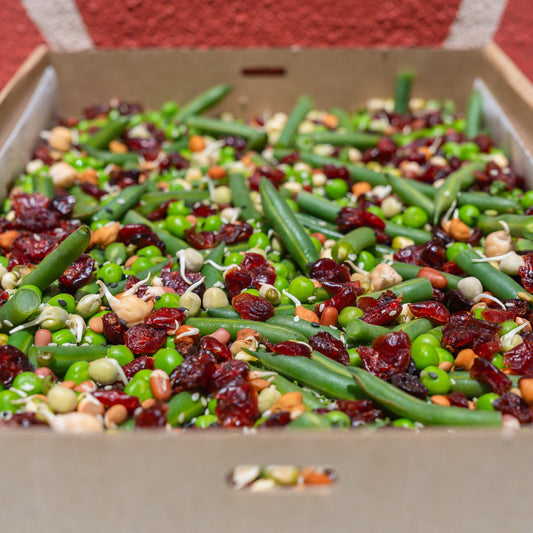 Super Grains Salad (Christmas Eve)